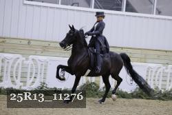 25R13_11276 proof