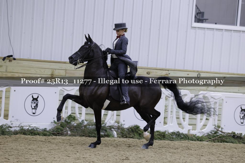 Proof 25R13_11277