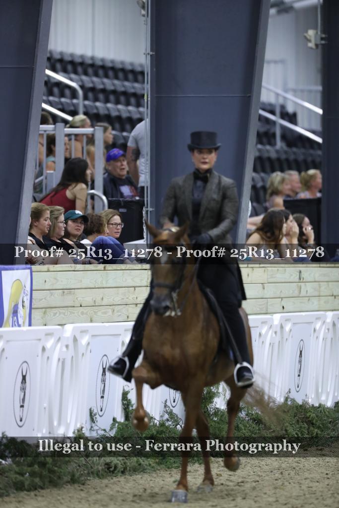 Proof 25R13_11278