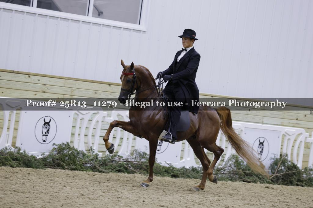 Proof 25R13_11279