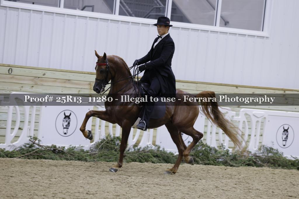Proof 25R13_11280