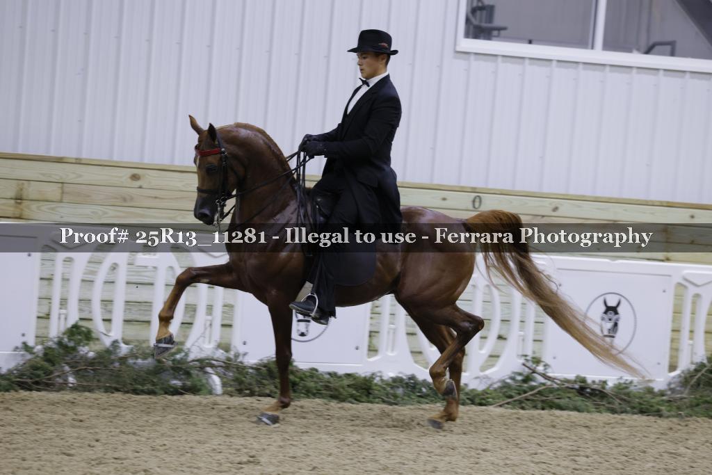 Proof 25R13_11281
