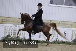 25R13_11281 proof