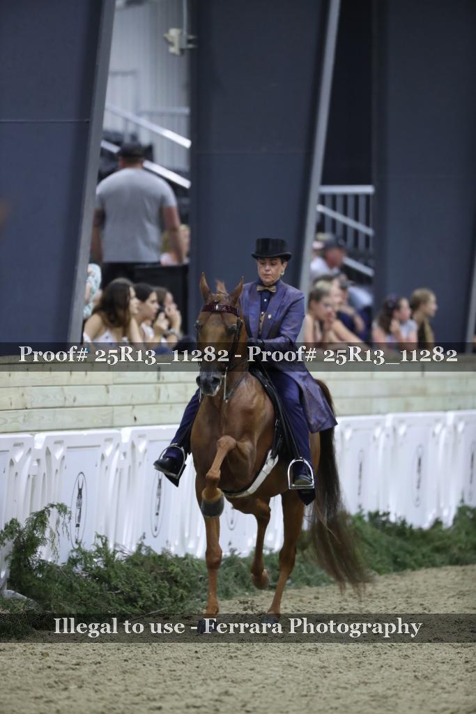 Proof 25R13_11282
