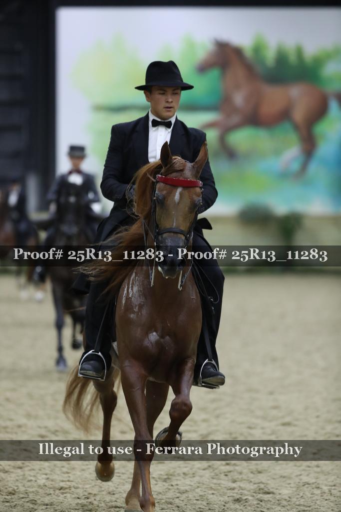 Proof 25R13_11283
