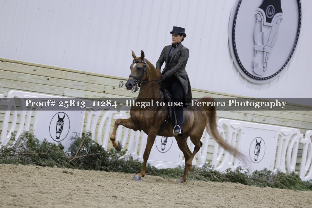 Proof 25R13_11284