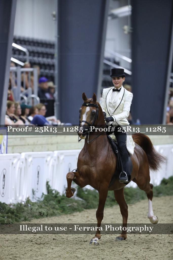 Proof 25R13_11285