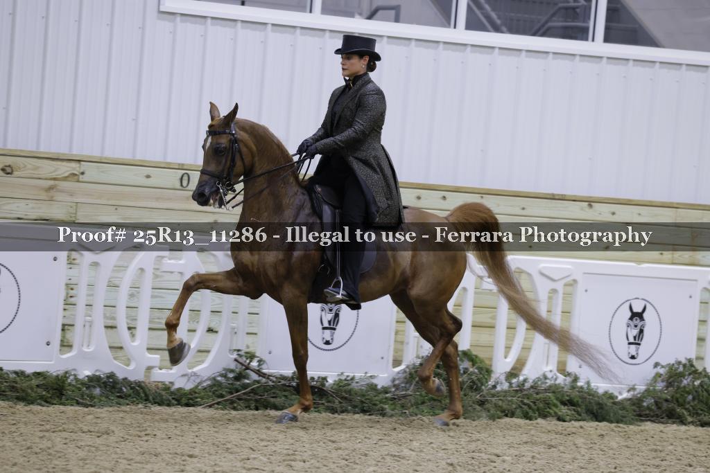 Proof 25R13_11286