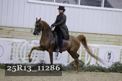25R13_11286 proof