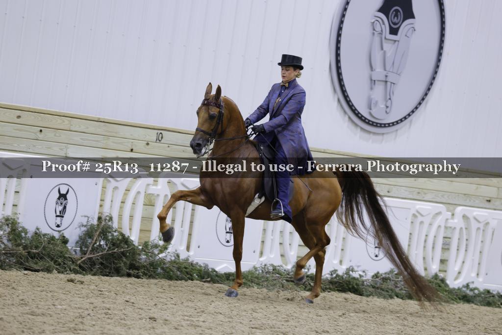 Proof 25R13_11287