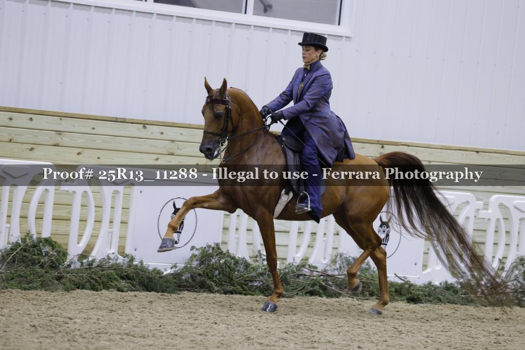 Proof 25R13_11288