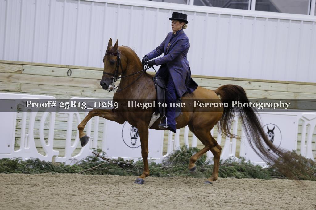 Proof 25R13_11289