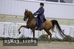 25R13_11289 proof