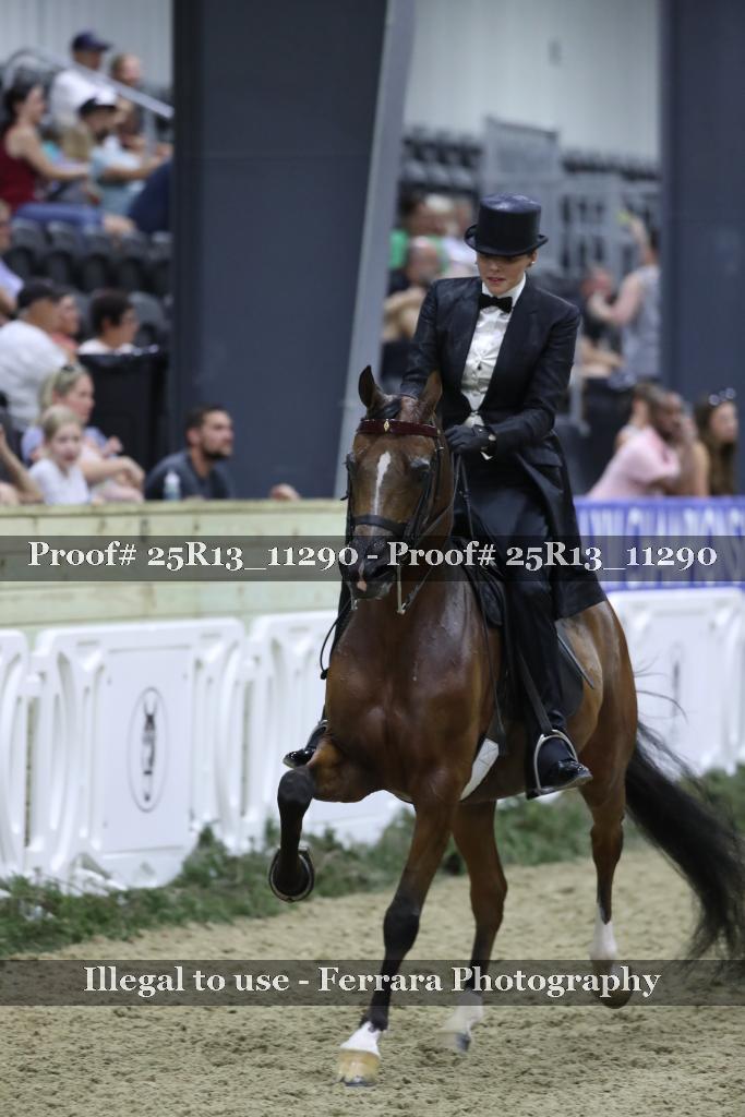 Proof 25R13_11290