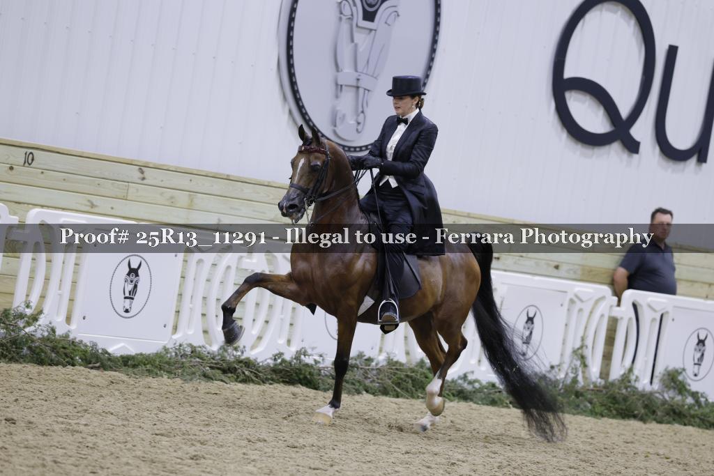 Proof 25R13_11291