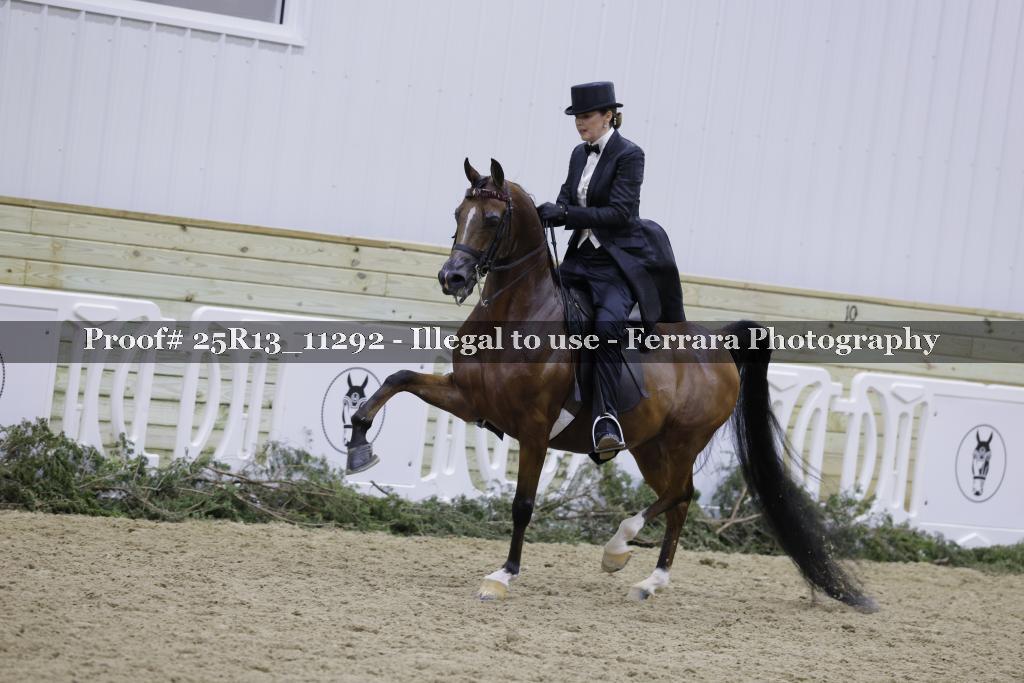 Proof 25R13_11292