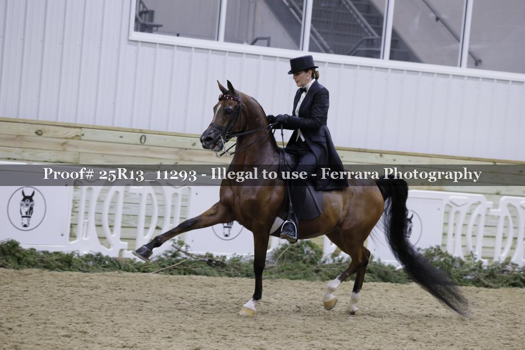 Proof 25R13_11293