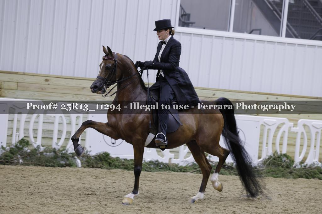 Proof 25R13_11294