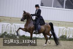 25R13_11294 proof