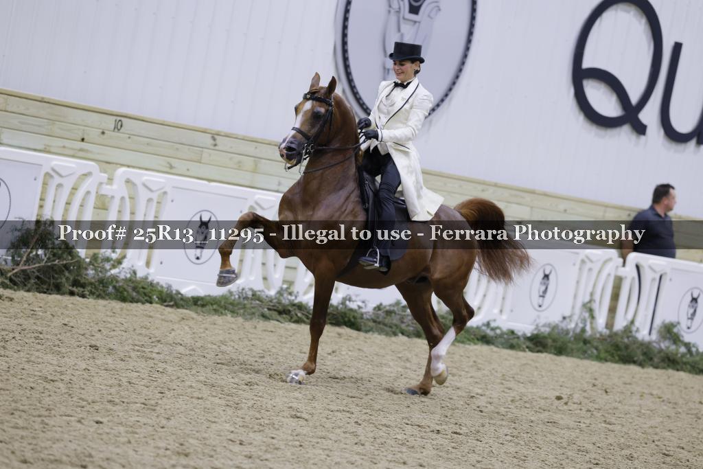 Proof 25R13_11295