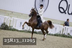 25R13_11295 proof