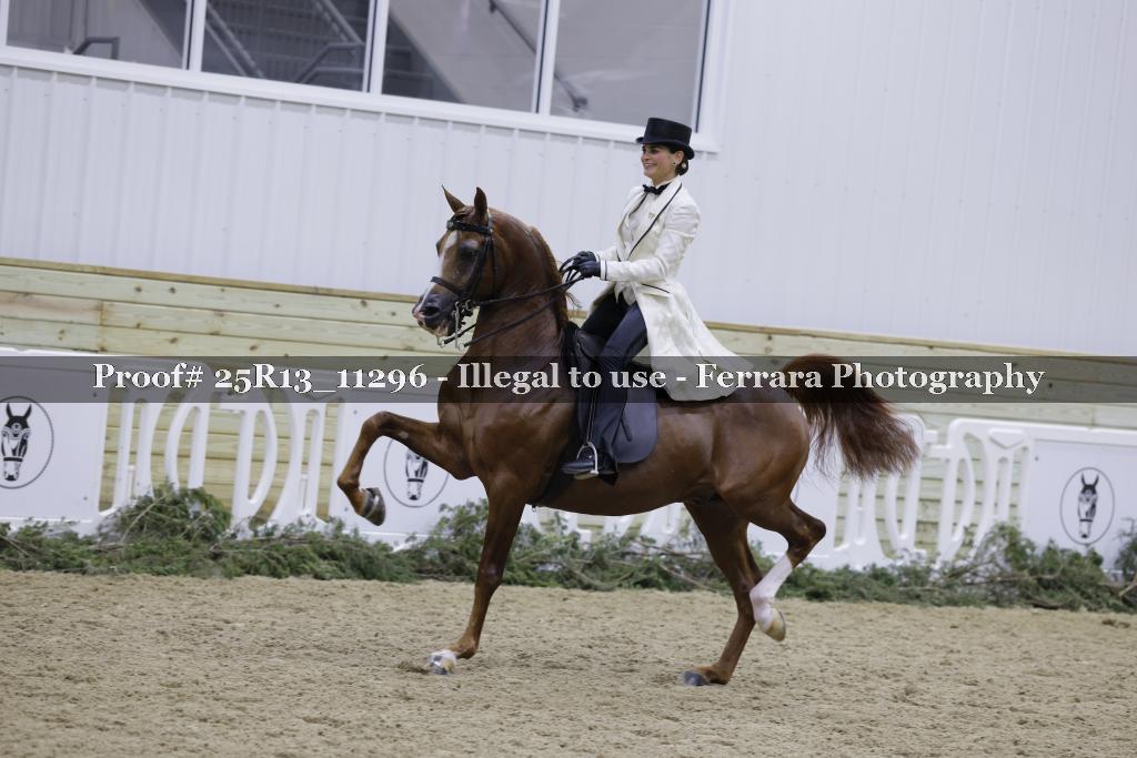 Proof 25R13_11296