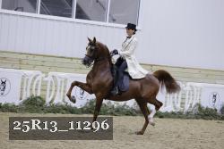 25R13_11296 proof