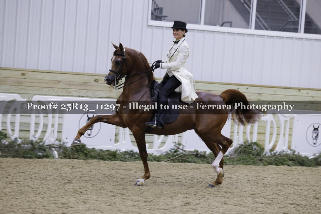 Proof 25R13_11297