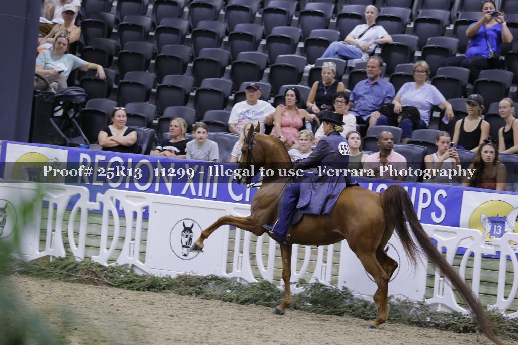 Proof 25R13_11299