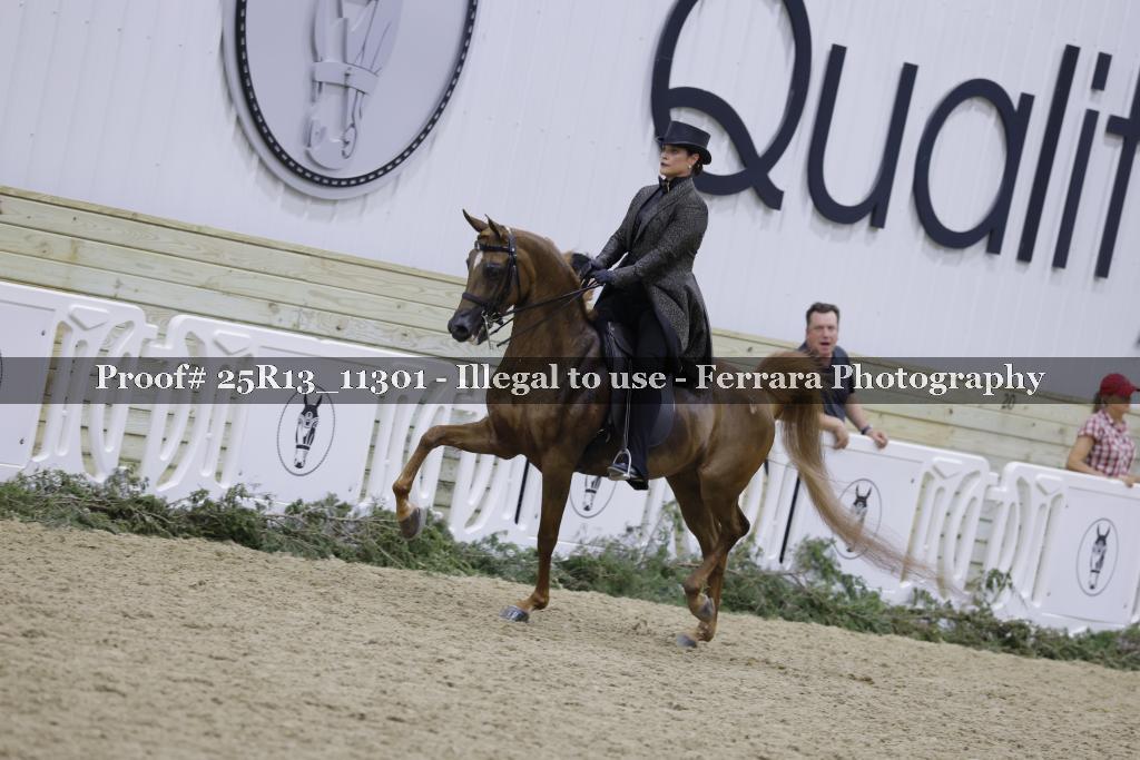 Proof 25R13_11301