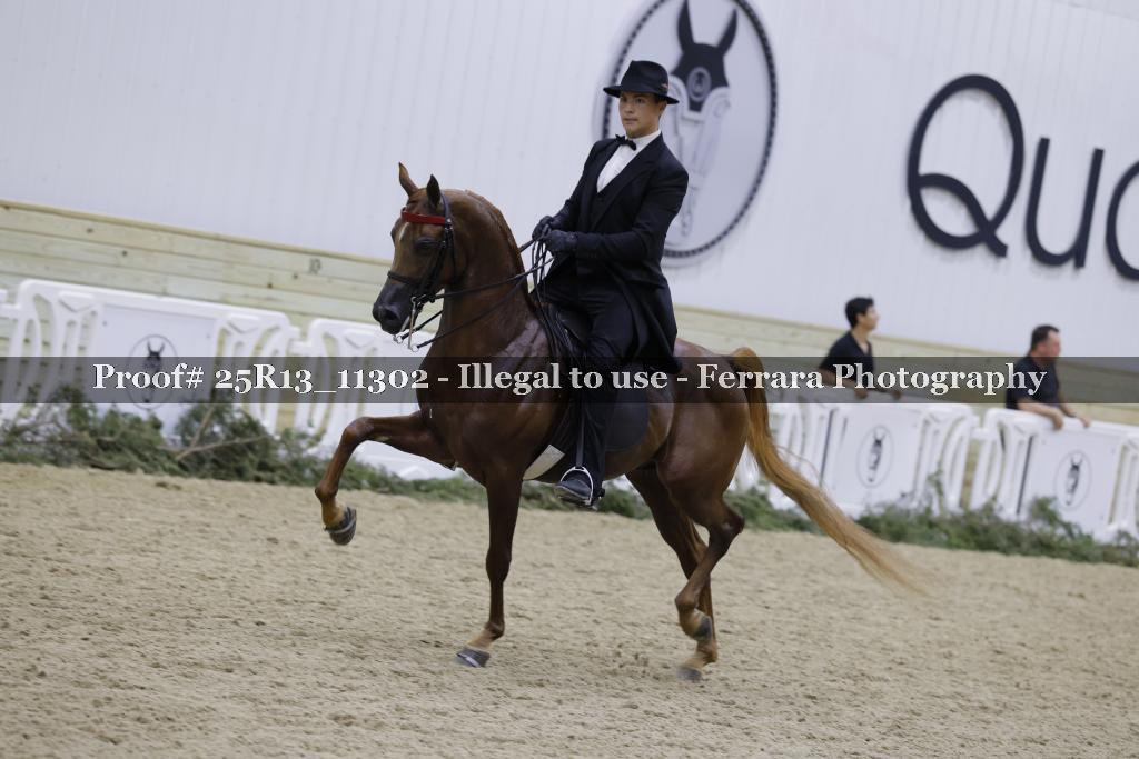 Proof 25R13_11302