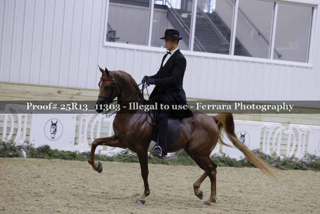 Proof 25R13_11303