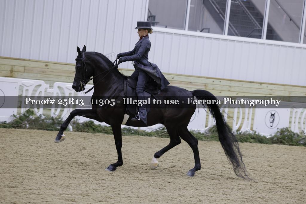 Proof 25R13_11305