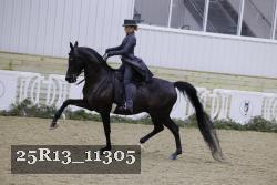 25R13_11305 proof