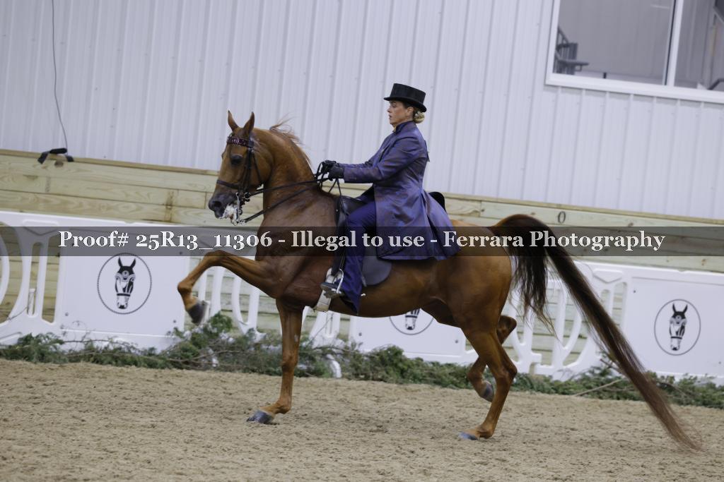 Proof 25R13_11306