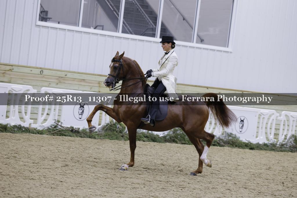 Proof 25R13_11307