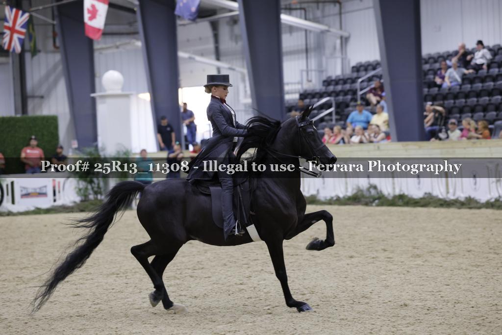 Proof 25R13_11308