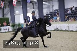 25R13_11308 proof