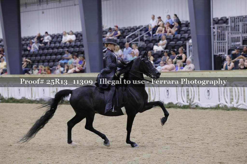 Proof 25R13_11309