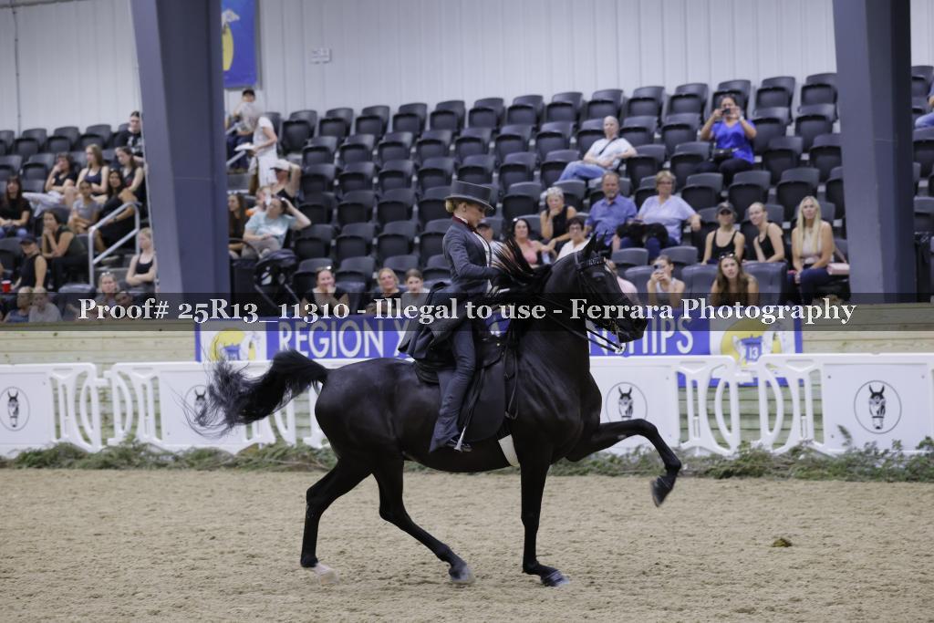 Proof 25R13_11310