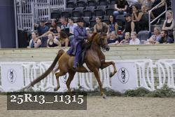 25R13_11315 proof