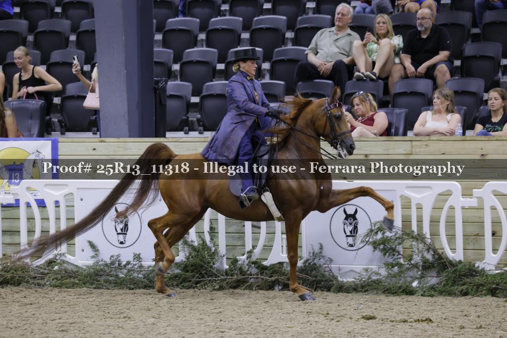 Proof 25R13_11318
