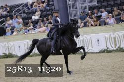 25R13_11320 proof