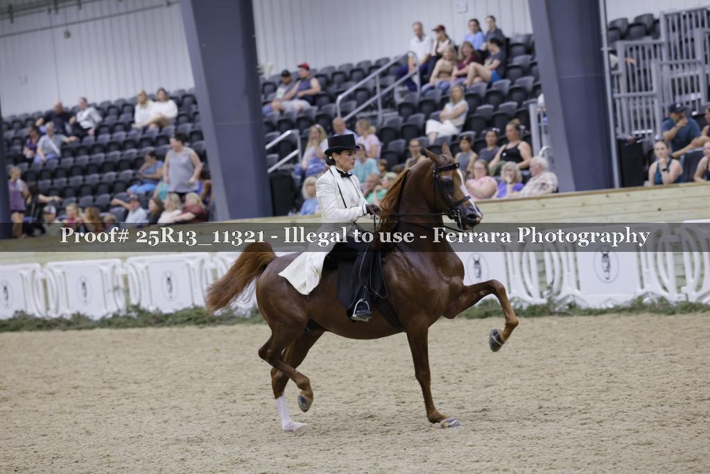 Proof 25R13_11321
