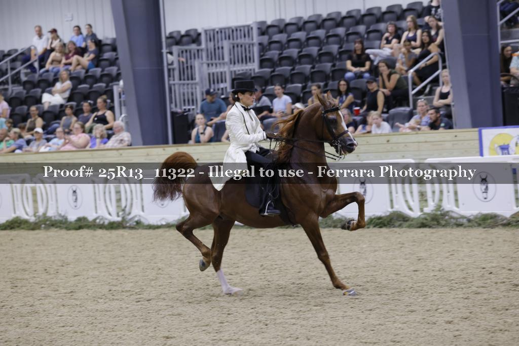 Proof 25R13_11322