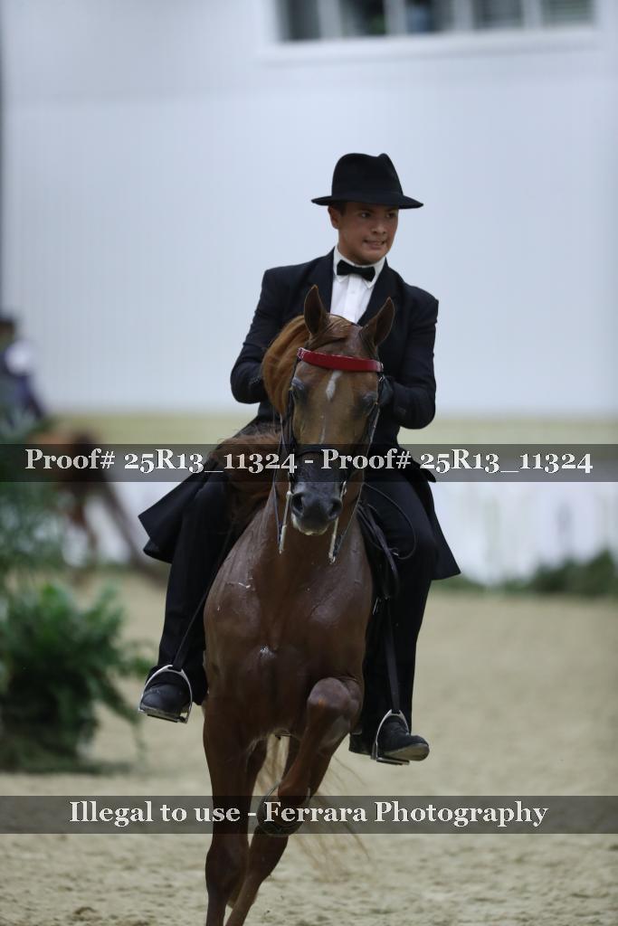 Proof 25R13_11324