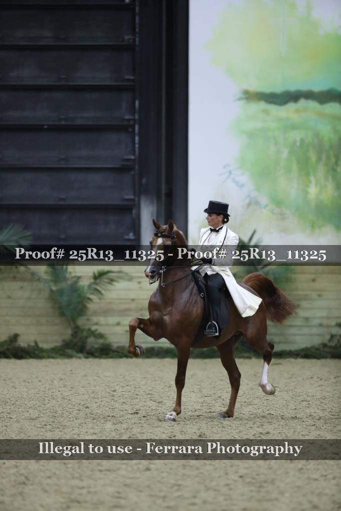 Proof 25R13_11325