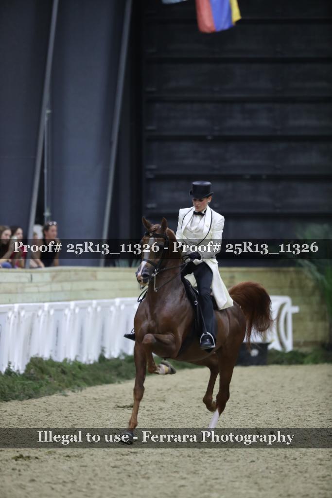 Proof 25R13_11326