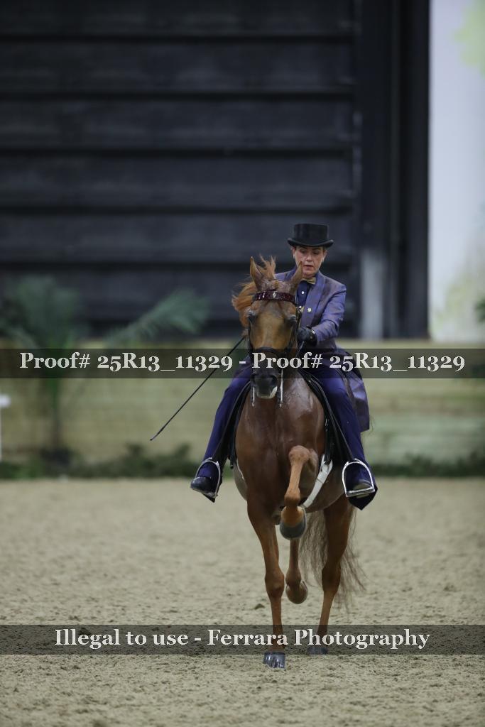 Proof 25R13_11329