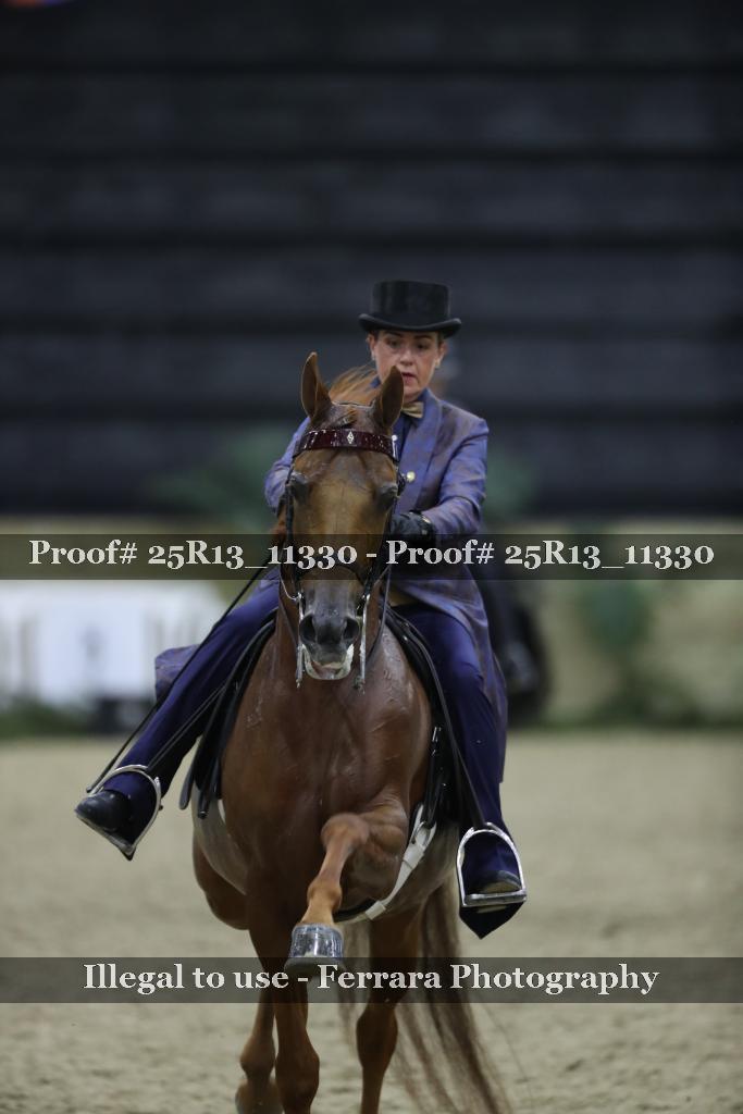 Proof 25R13_11330